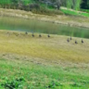 Meet your Posher, Marcelina